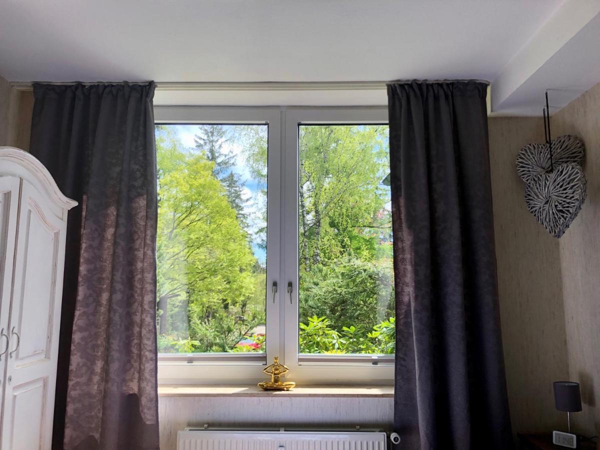 Fewo Harzromantik Braunlage Luaran gambar