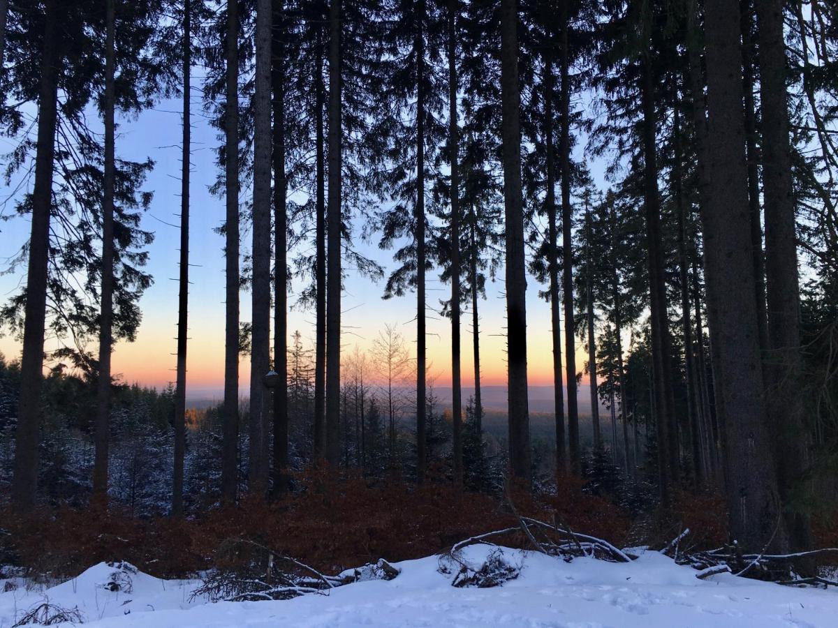 Fewo Harzromantik Braunlage Luaran gambar