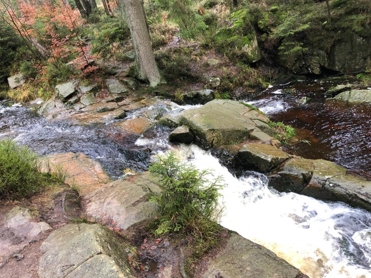 Fewo Harzromantik Braunlage Luaran gambar