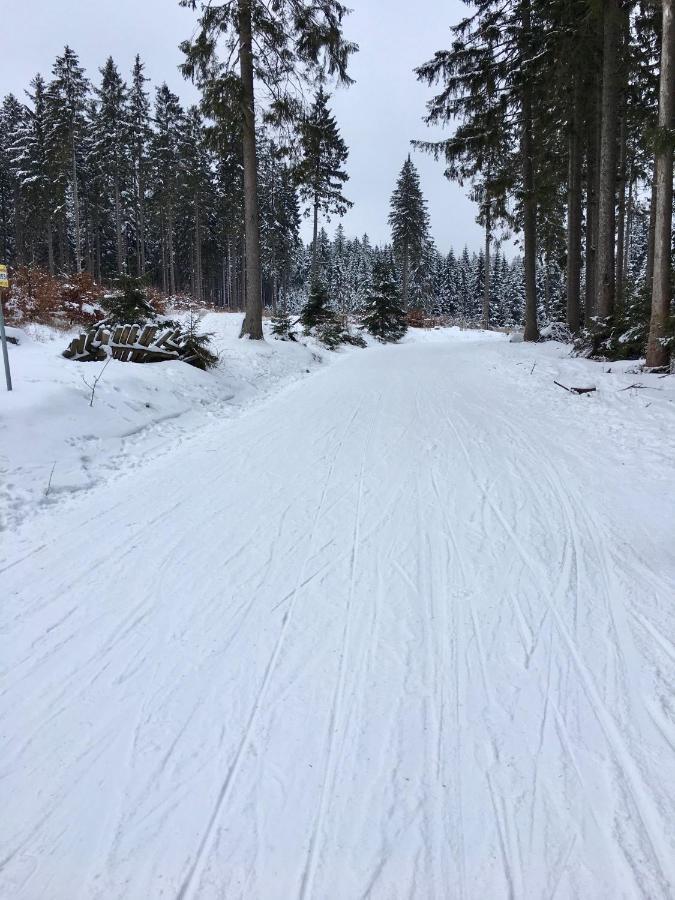 Fewo Harzromantik Braunlage Luaran gambar